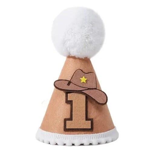 MY 1ST RODEO BIRTHDAY HAT 🤠